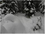 Na kopiš - Planina Spodnja Konjščica